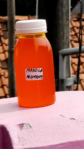 esen oplosan mangga aromanis umpan ikan mas GT