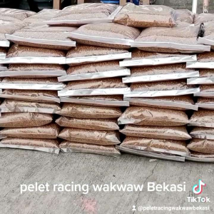 wakwaw Pelet Racing Aroma Strong 900g - Aroma Kuat untuk Galatama Mas/Galapung