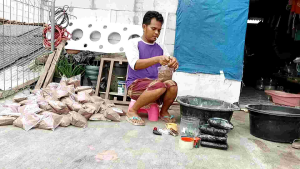 racing wakwaw aroma tawar original untuk galatama ikan mas 500g/800g/1kg
