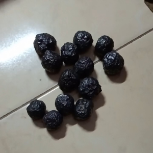 Batu Badar Besi Selo Ukuran Sedang Nempel Maghnit