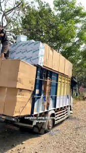 HELM CHARGLOSS Variasi pakai pet