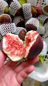 buah tin yordania fresh organik 150gram ciwidey bandung