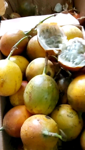 Buah KONYAL Matang Manis fresh 500 Gram Termurah