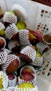 buah tin yordania fresh 500gr budidaya ciwidey