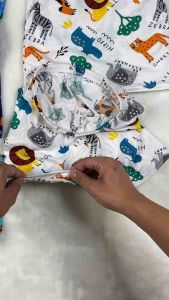 Pambahay Terno Character / Dinosaur for 1 - 2 Years Old