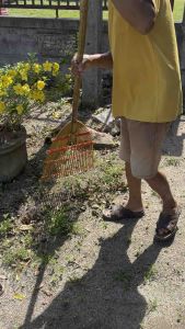 ไม้กวาดไม้ไผ่ ตัวหนาแข็งแรง การใช้งานเป็นทั้งกวาดและโกย