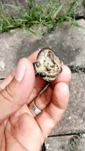 Cincin Kuno Symbol Dewa Ganesha\\n\\n Pengenalan Cincin Kuno Dewa Ganesha\\n\\nCincin kuno dewa Ganesha adalah aksesoris spiritual yang populer di kalangan penggemar Hindu. Simbol keberuntungan dan kebijaksanaan ini telah menjadi pilihan favorit bagi mereka yang ingin mengekspresikan identitas religius mereka melalui perhiasan.\\n\\n Simbol Keberuntungan dan Kebijaksanaan\\n\\nDewa Ganesha dikenal sebagai simbol keberuntungan dan kebijaksanaan dalam agama Hindu. Dengan mengenakan cincin kuno dewa Ganesha, pengguna dapat merasa lebih percaya diri dan terinspirasi oleh energi positif yang diberikan oleh simbol ini.\\n\\n Desain Klasik dengan Bahan Emas\\n\\nCincin kuno dewa Ganesha biasanya dirancang dengan detail yang indah dan unik, yang mencerminkan kekayaan budaya Hindu. Desain klasik ini sering kali menggunakan emas sebagai bahan utama, yang membuat cincin ini menjadi investasi yang bernilai tinggi.\\n\\n Cara Memilih Cincin Kuno Dewa Ganesha yang Tepat\\n\\nPada saat memilih cincin kuno dewa Ganesha, ada beberapa hal yang perlu dipertimbangkan.\\n\\n Untuk Pria dan Wanita\\n\\nCincin kuno dewa Ganesha tersedia dalam berbagai ukuran dan desain, sehingga cocok untuk pria dan wanita. Pastikan untuk memilih ukuran yang pas agar cincin dapat dikenakan dengan nyaman.\\n\\n Perhatikan Detail dan Kualitas\\n\\nCincin kuno dewa Ganesha berkualitas tinggi biasanya memiliki detail yang indah dan presisi tinggi. Pastikan untuk memeriksa kualitas cincin sebelum membeli, terutama jika Anda berencana untuk menggunakannya sebagai investasi.\\n\\n Manfaat Cincin Kuno Dewa Ganesha\\n\\nSelain menjadi aksesoris spiritual yang indah, cincin kuno dewa Ganesha juga memiliki beberapa manfaat lainnya.\\n\\n Simbol Spiritual\\n\\nCincin kuno dewa Ganesha bukan hanya sekedar aksesoris, tetapi juga simbol spiritual yang kuat. Simbol ini dapat membantu Anda merasa lebih tenang dan fokus, serta memberikan inspirasi untuk menghadapi tantangan sehari-hari.\\n\\n Sebagai Investasi\\n\\nCincin kuno dewa Ganesha juga bisa menjadi investasi yang bernilai tinggi. Bahan emas yang digunakan dalam pembuatan cincin ini membuatnya menjadi investasi yang aman dan bernilai tinggi.\\n\\n Cara Merawat Cincin Kuno Dewa Ganesha\\n\\nAgar cincin kuno dewa Ganesha Anda tetap terlihat indah dan awet, ada beberapa langkah perawatan yang perlu diikuti.\\n\\n Membersihkan dan Mengasah\\n\\nCincin kuno dewa Ganesha harus dirawat dengan baik agar tetap indah dan awet. Pastikan untuk membersihkan cincin secara teratur dan mengasahnya jika perlu.\\n\\n Menyimpan dengan Aman\\n\\nCincin kuno dewa Ganesha harus disimpan dengan aman untuk mencegah kerusakan atau hilang. Pastikan untuk menyimpan cincin di tempat yang aman dan jauh dari sinar matahari langsung.\\n\\nDengan memilih dan merawat cincin kuno dewa Ganesha dengan benar, Anda dapat menikmati manfaat spiritual dan investasi yang ditawarkan oleh aksesoris ini.\n}