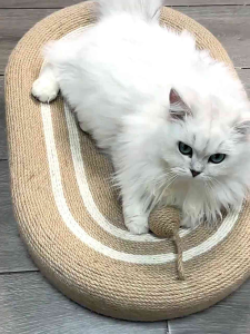 [SG]🚚 Sisal Cat Scratch Board Grinding Claw No Dandruff Cat Nest Grinding Claw Integrated