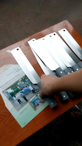 Set 5 DAO THÁI BÉ Thép trắng nhật không gỉ