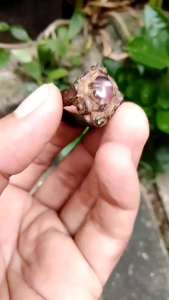 Cincin perunggu kuno batu garnet