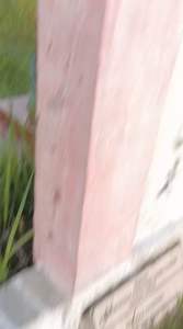 Sabit Tebas Ranting Cap***** / Arit Rumput Full Baja Murni / Alat Pertanian