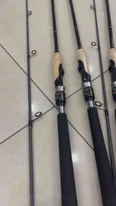 Kenzi Questorm Spinning rod Tip Solid.