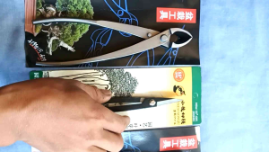 Gunting Pruning Bonsai MSW-55: Pemilihan & Perawatan