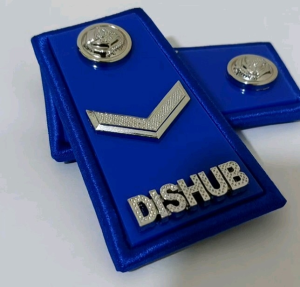 PANGKAT PPPK DISHUB GOLONGAN 5