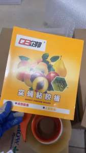 Tệp 10 miếng bẫy dính ruồi vàng đục trái cho cây ăn quả - chuẩn hình ảnh