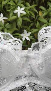 Bộ đồ lót Ren Pháp Mềm Nhẹ Xuyên Thấu Gợi Cảm Không Đệm Mút Có Gọng Nâng Ngực Đũng Chíp Nano Bạc Kháng Khuẩn RX1 OTULI