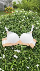 Áo Ngực Ren Pháp Siêu Mềm Nhẹ Không Gọng Nâng Ngực Tạo Khe Cho Ngực Vừa Và Nhỏ Lớp Mút 3cm Nano Bạc Kháng Khuẩn R3 OTULI