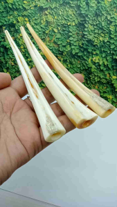 Pipa Padutan Sirip Marlino Original H607: Pemilihan & Penggunaan