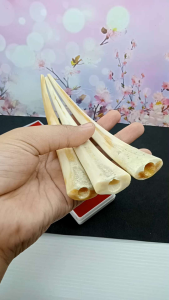 once pipa sedotan sirip marlino super panjang h609