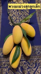 ผลไม้ปลอม พวงมะม่วงสุก (ลูกเล็ก) ความยาวรวมขั้วมะม่วง 60 ซม.