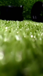 KARET SAMBUNGAN MANIFOLD MANIPOL YAMAHA MIO /SOUL/GT/M3 XEON N-MAX MODE ORI PE28