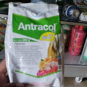 FUNGISIDA ANTRACOL 70WP + ZINK 250GRAM ORIGINAL