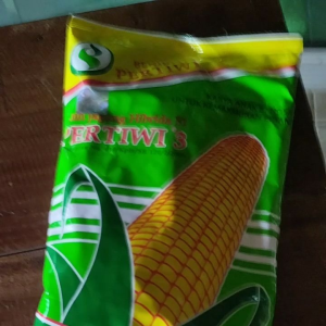 (COD) BENIH JAGUNG HIBRIDA PERTIWI 3 KEMASAN 1KG ORIGINAL