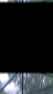 Peneduh Tanaman Ukuran 4x2 hingga 4x15: Panduan Lengkap