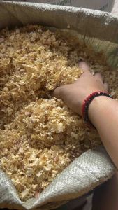 KUSOT or WOODSHAVINGS (Palochina)