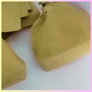 blongsong 100lembar kantong untuk burung kertas