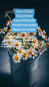 Zeva Tunik: Pakaian Casual Elegan dengan Bahan Nyaman