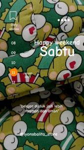 SOFA BABY Belajar Duduk Bayi Bergambar Plus Safety Belt SOFA BAYI