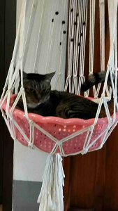 เปลญวนน้องแมว ที่นอนแมว ที่นอนแขวนแมว หรือสัตว์เลี้ยงขนาดเล็ก