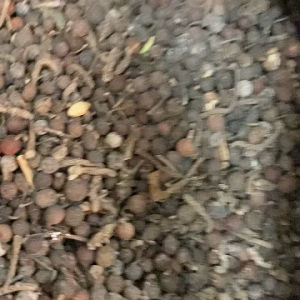 Uziza dried seed pepper (Piper guineense).