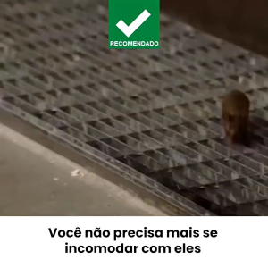 Pest Reject Alat Pengusir Tikus Nyamuk Kecoa Lalat Elektrik Pembasmi Hama Elektrik Pest Reject Anti Tikus Nyamuk Kecoa Pest Reject Elektrik Pengusir Hama Tikus Serangga Nyamuk Kecoa Alat Pengusir Tikus & Serangga Elektrik Listrik