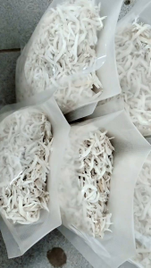 Ikan Asin Teri Nasi Medan Putih Size Kasar: Makanan Ringan Berkualitas Tinggi