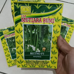 BENIH BIBIT OYONG HIBRIDA F1 TAHAN VIRUS RETNO F1 10 GRAM MUTIARA BUMI Setara ANGGUN Panah Merah
