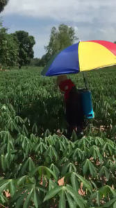 ร่ม ใส่ เครื่องพ่นยาแบตเตอรี่ ถังพ่นยาแบตเตอรี่ ขนาด30นิ้ว+ ขาตั้งร่ม ร่มกันแดด ร่มกันฝน