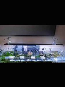 Bộ Giá Treo Đèn Thủy SinhKẹp Treo Đèn Thủy Sinh