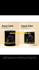 NEW!!!Aquá tube/AKUARIUM TABUNG/konsep minimalis/akuarium cupanggapi dan ikan hias lainnya