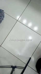 janggan jaguar