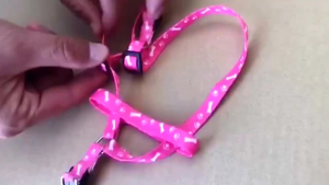 Adjustable Nylon Pet Leash Dog Leash Cat Puppy Leash Kitty Leash For Dog Leash accessories Supplies