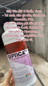 1 lít Septica - dung dịch khử trùng chuồng trại dụng cụ chăn nuôi