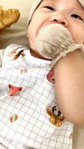 Sarung Tangan & Kaki Bayi - Mittens & Booties - Baby Loop