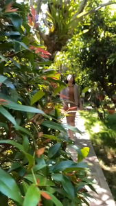 Parfum Laundry Sakura Grade A+ (TRIPLE PACK) - Room & Linen Spray Anti Bacterial - Laundry 250ml