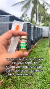Thuốc trị tang gà đá Inflame chai 5ml nhập khẩu chính hãng Thái Lan + trị tang gà đá cho gà đá thuốc trị tang cho gà đá trị tan gà đá