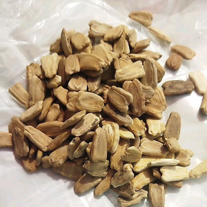 100 gram biji benih labu air panjang / kukuk kualitas unggul mudah tumbuh>banyak pilihan