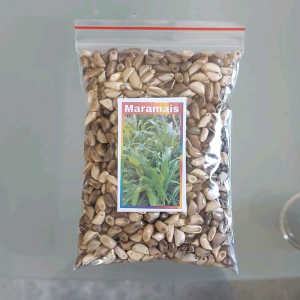 Maramais 1000 Seeds Forage Seeds for Livestock
