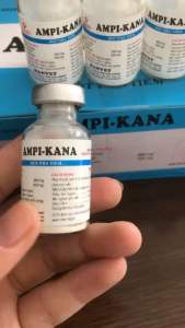 AMPI KANA (1 lọ) bột pha tiêm dùng cho vật nuôi