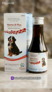 Hemo-B Plus Iron & B-Complex Syrup for Dogs (100ml)